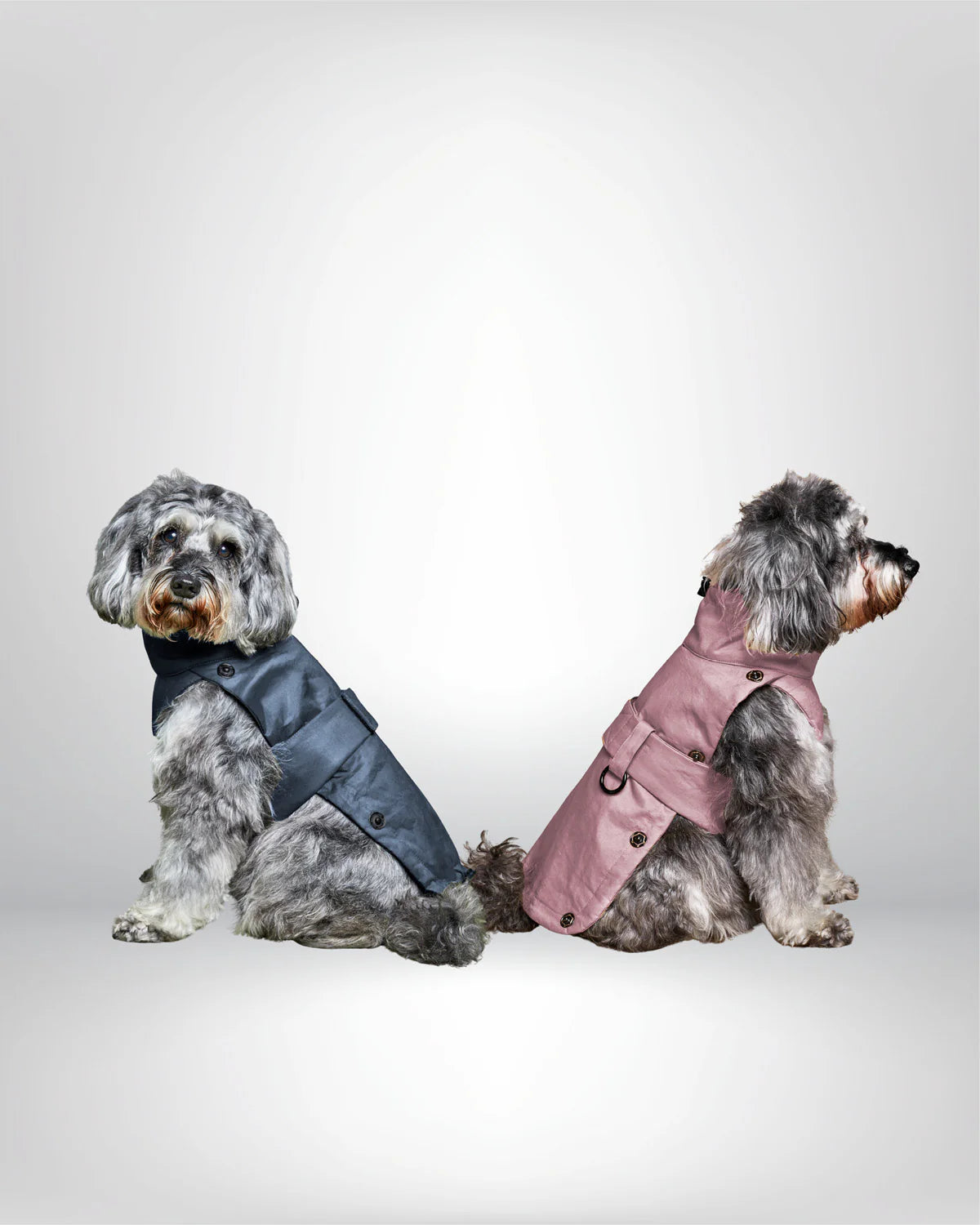 The 2-In-1 Classique Trench - PURPLE GRAY