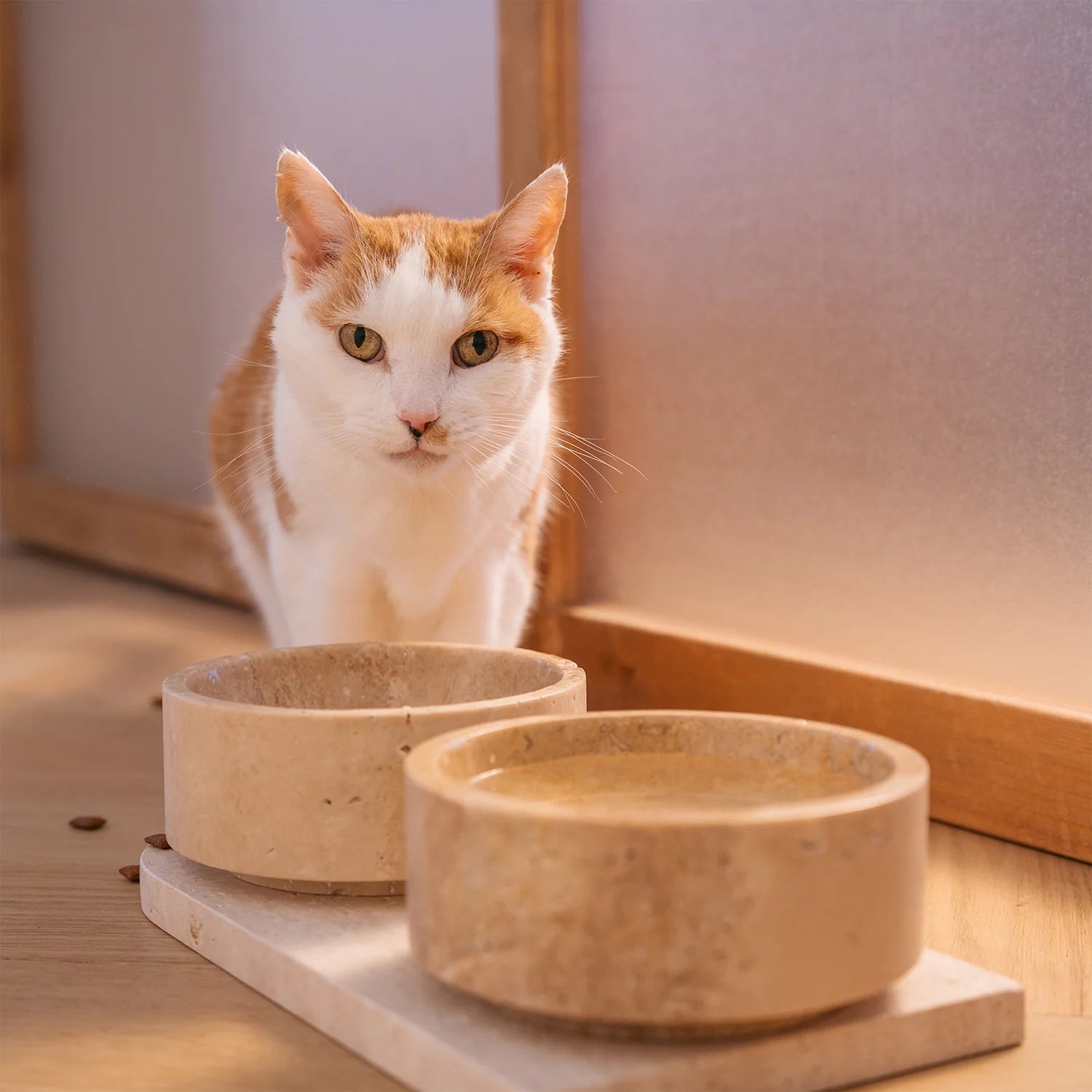 The Travertine Pet Bowl Set