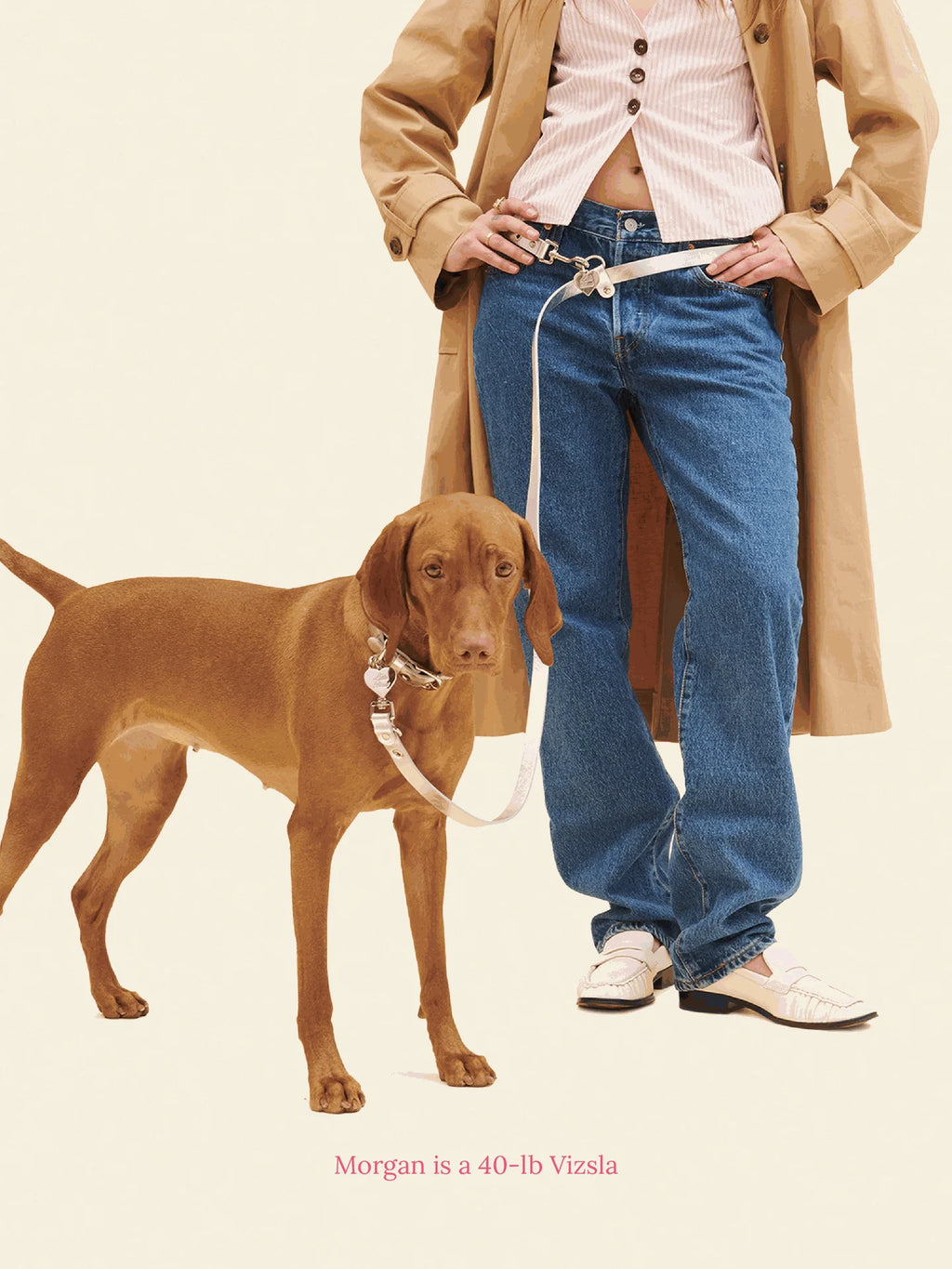 You Mean the World to Me Leash - Silver
