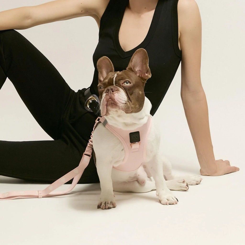 Soho Dog Walking Set - Blush Pink