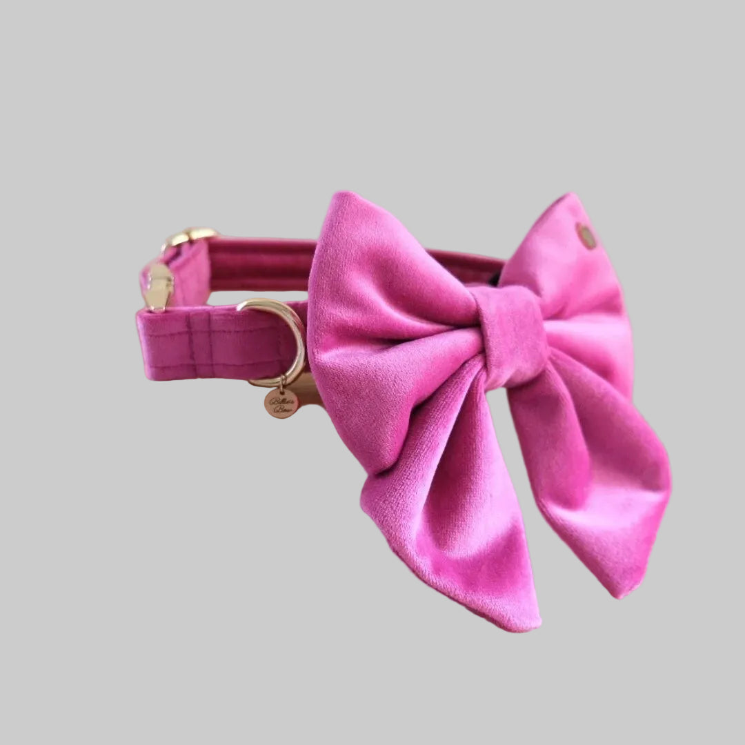 Velvet Bow Collar Set
