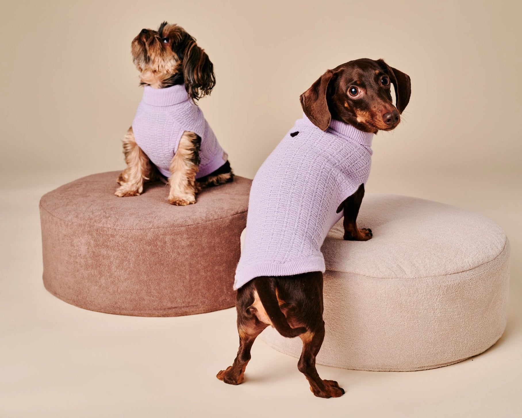 Coco Sweater – Purple