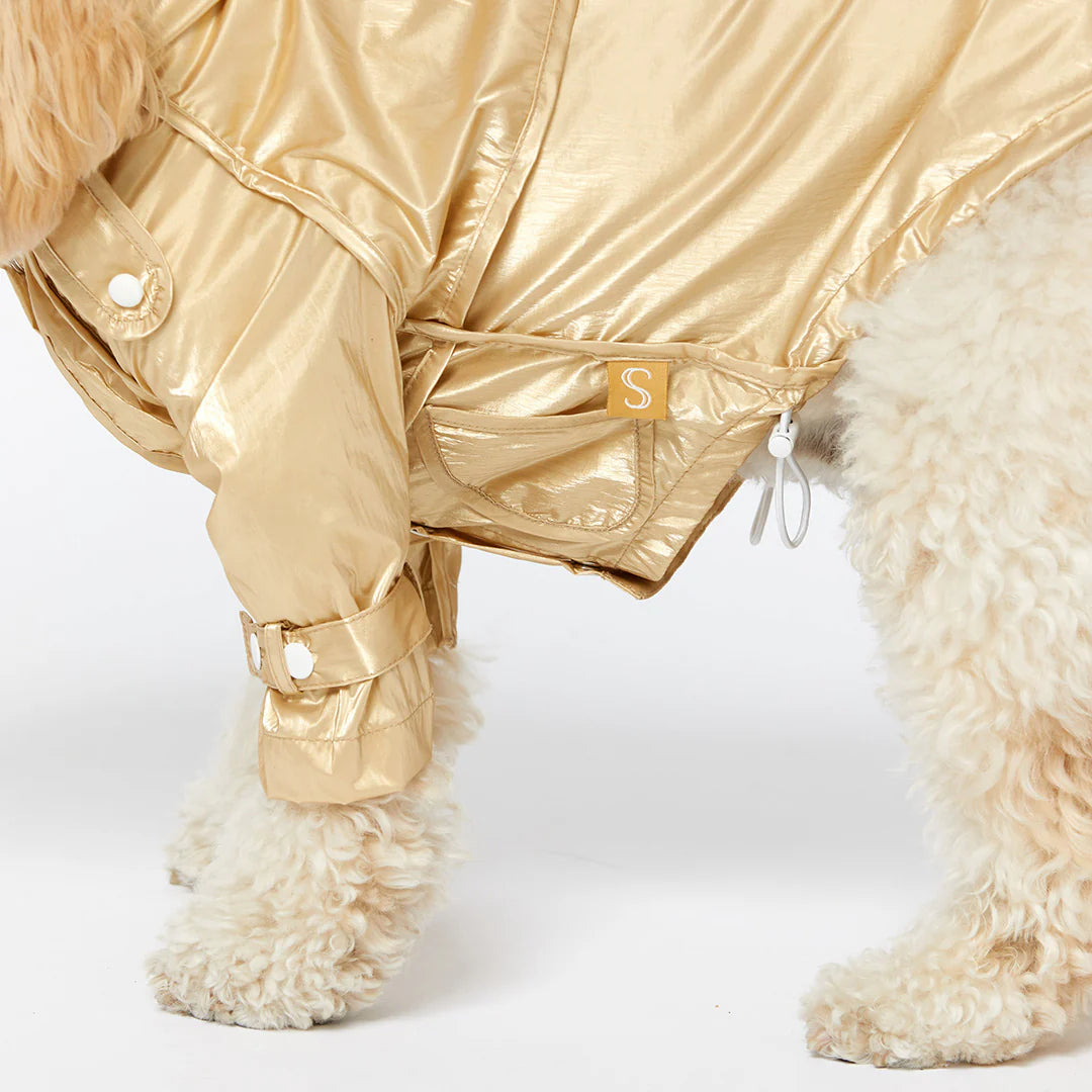 Raincoat - Gold