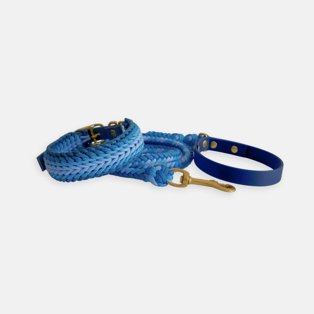 Esmeralda Blue Collar