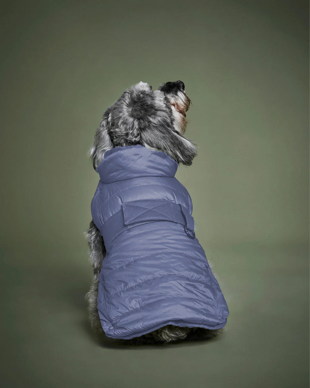 The 2-In-1 Classique Trench - PURPLE GRAY