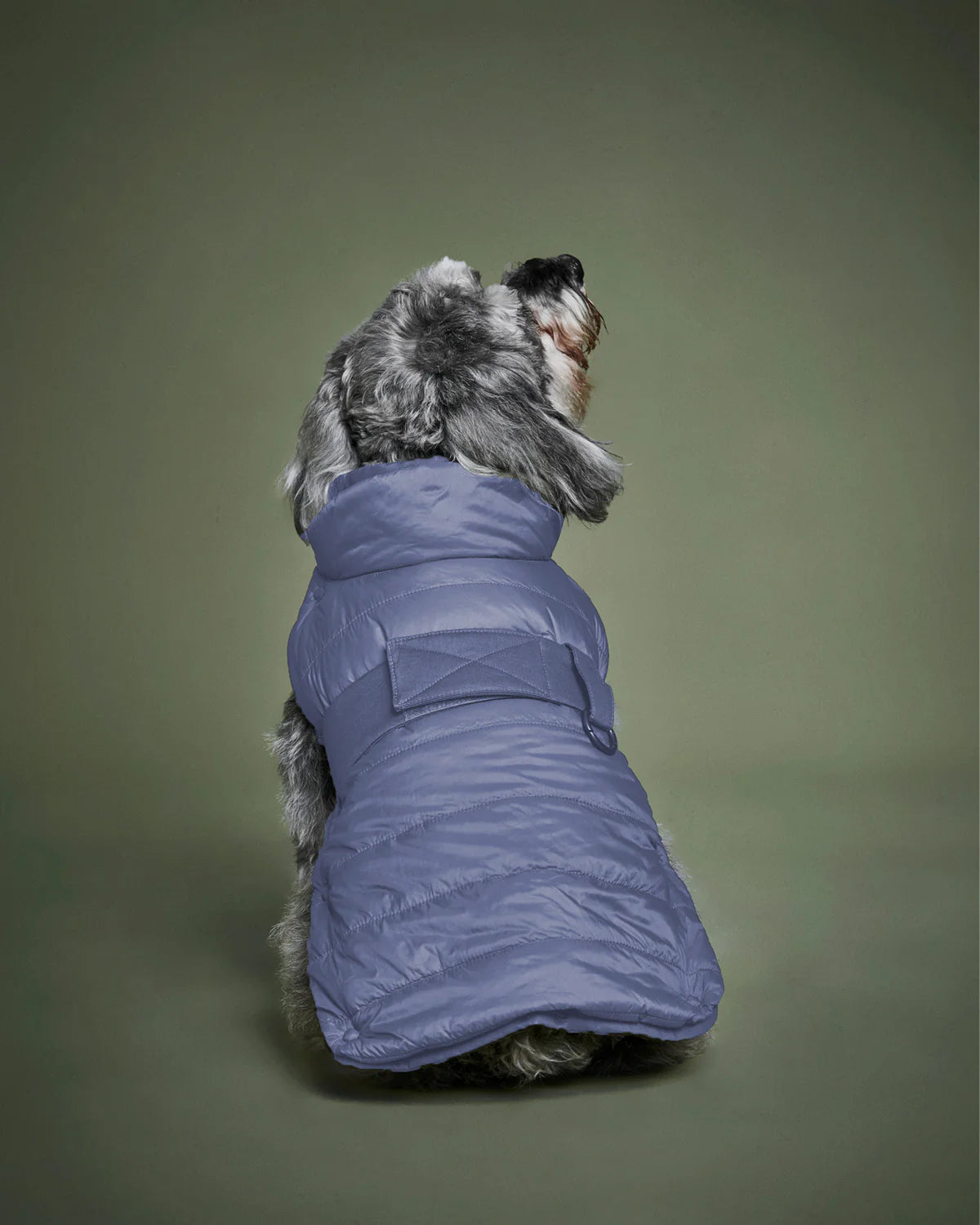 The 2-In-1 Classique Trench - PURPLE GRAY