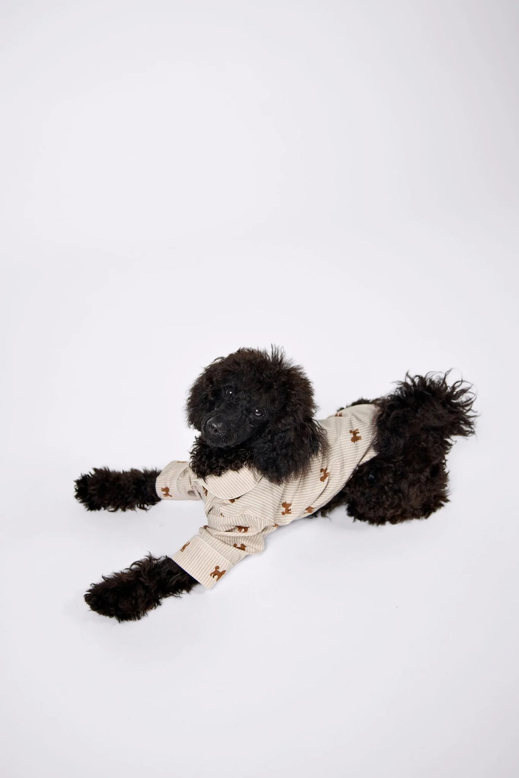 Doodle Dog Pajama Shirt – Brown & White