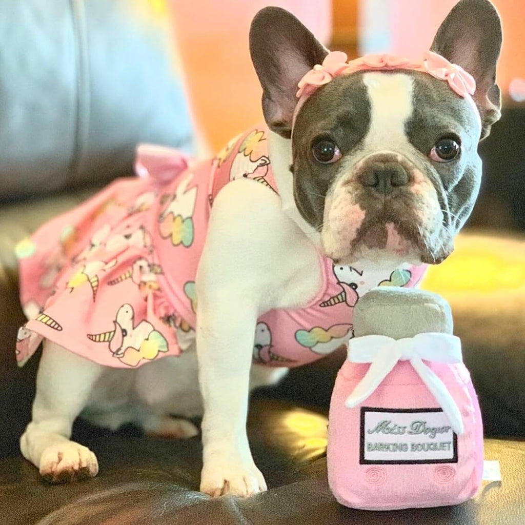 Miss Dogior - Plush Designer Toy