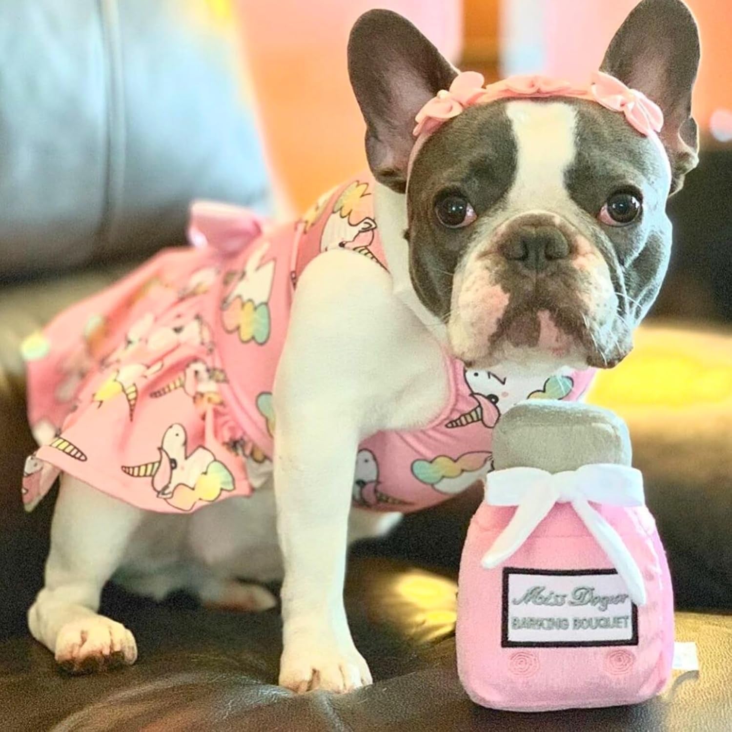 Miss Dogior - Plush Designer Toy