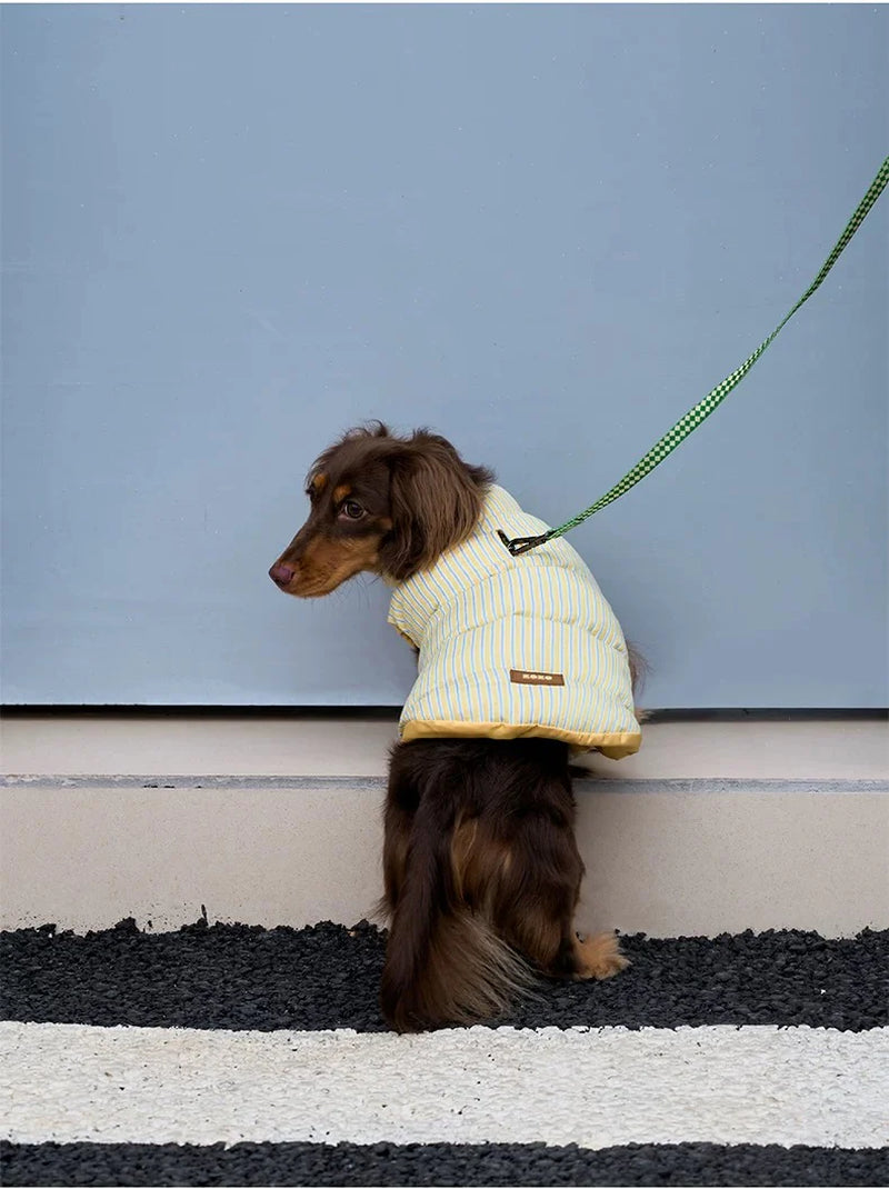 Winter Stripe Puffer Jacket