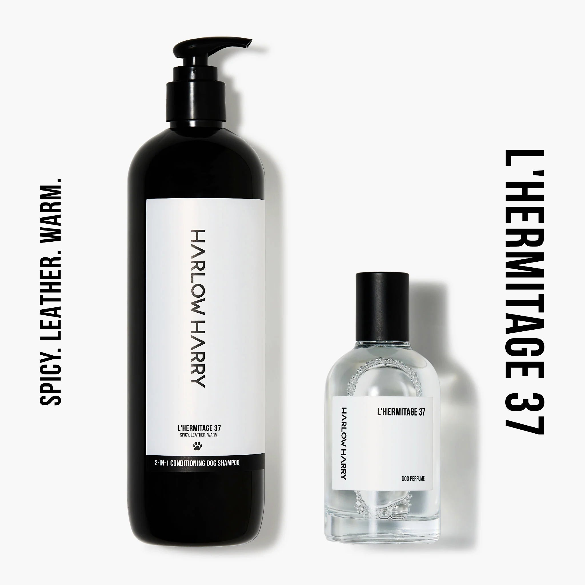 The Set | L'Hermitage 37