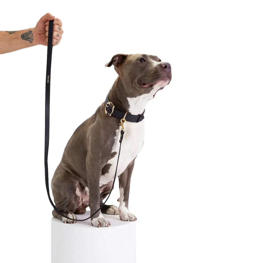 Balley Dog Leash by Moshiqa