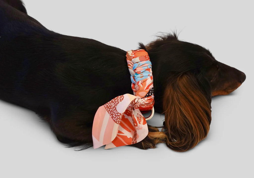 Dog Collar Twilly Amber Phantasia
