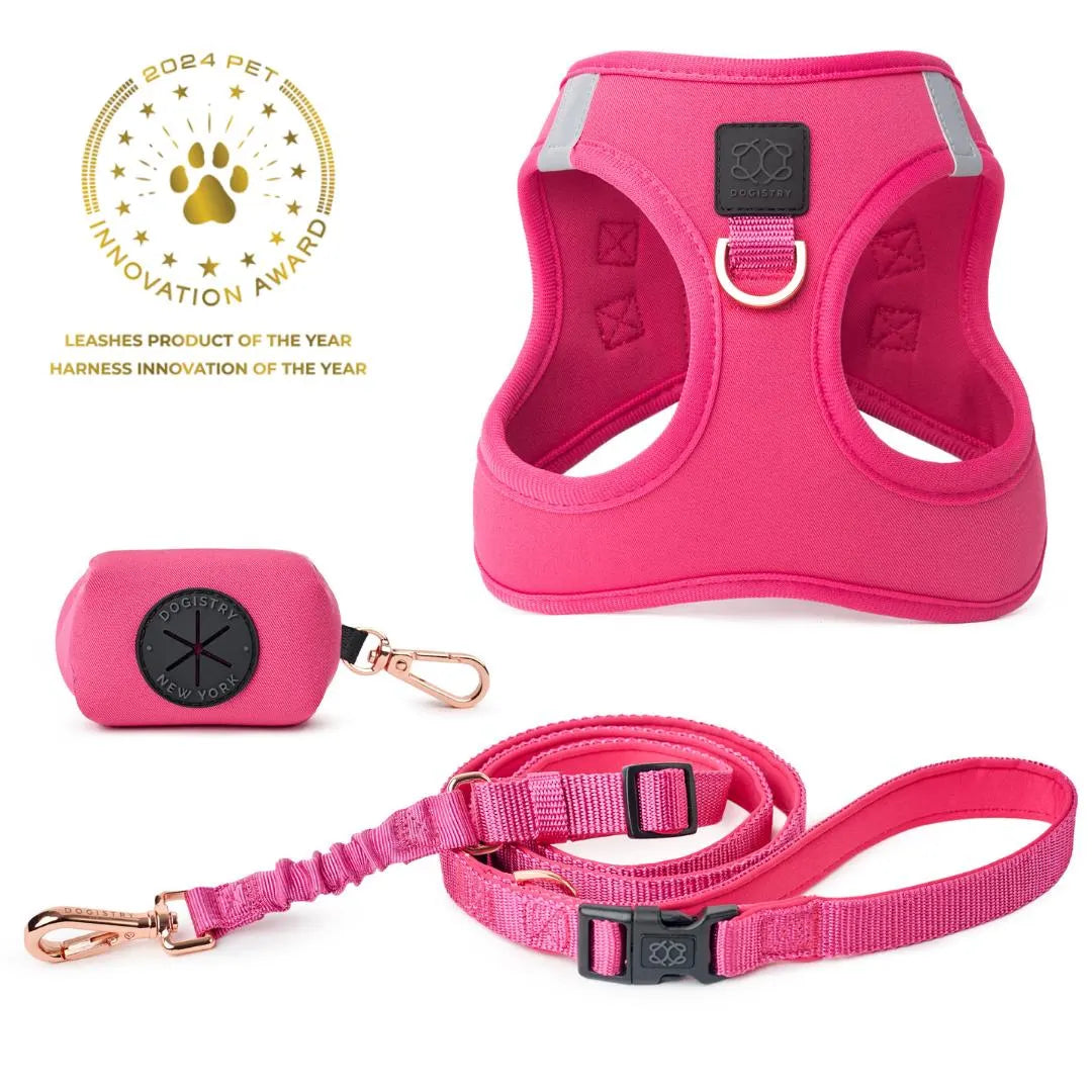 Soho Dog Walking Set - Park Ave Pink