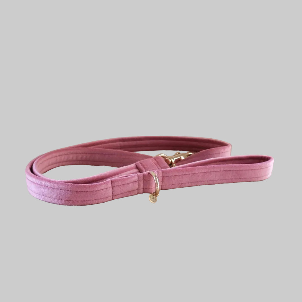 Velvet Bow Collar Set