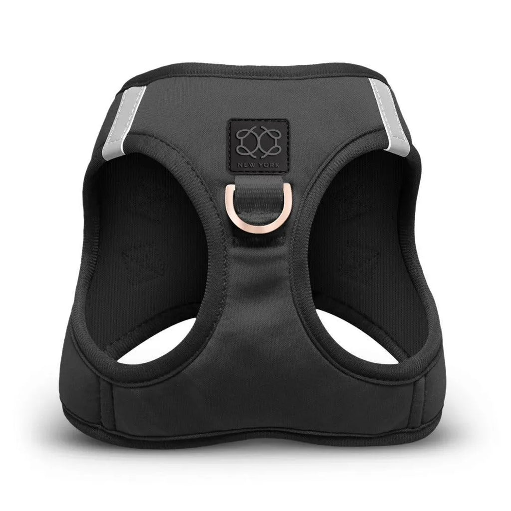 Soho Dog Walking Set - Black