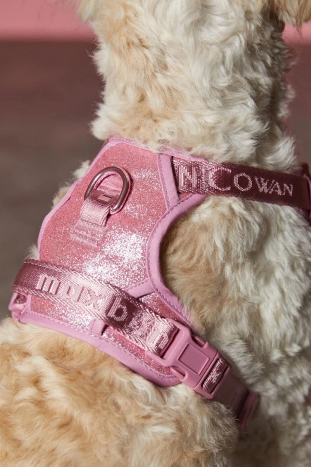 Christian Cowan X  Glitz Walk Set