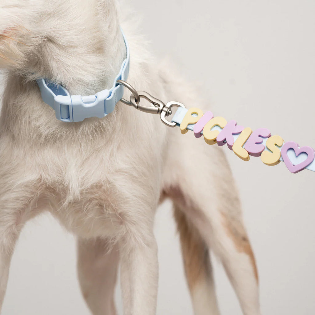 Waterproof Dog Leash + Collar Set