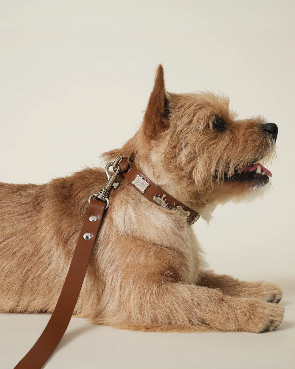 Boss Leash