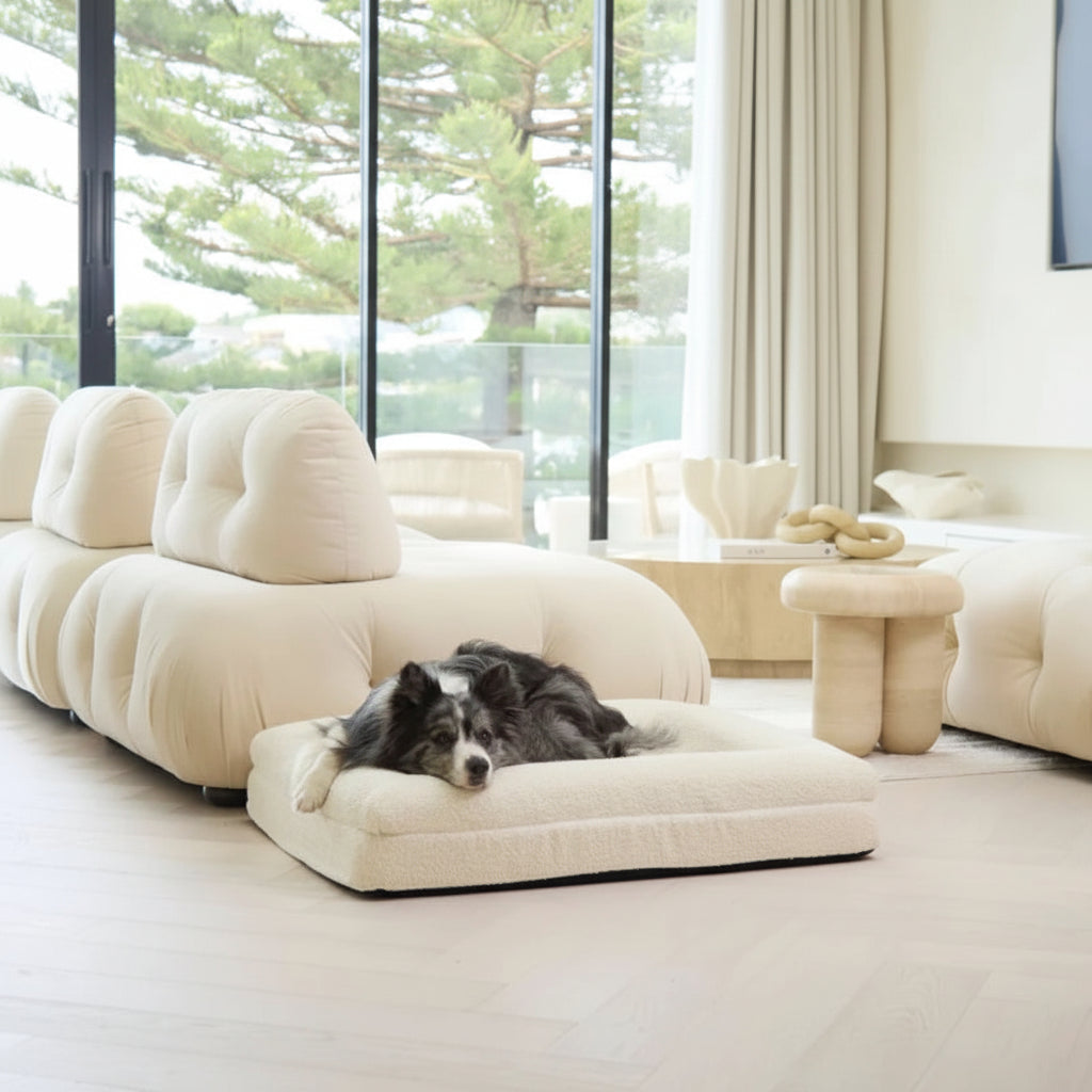 Memory Foam Dog Bed - Bouclé Ivory