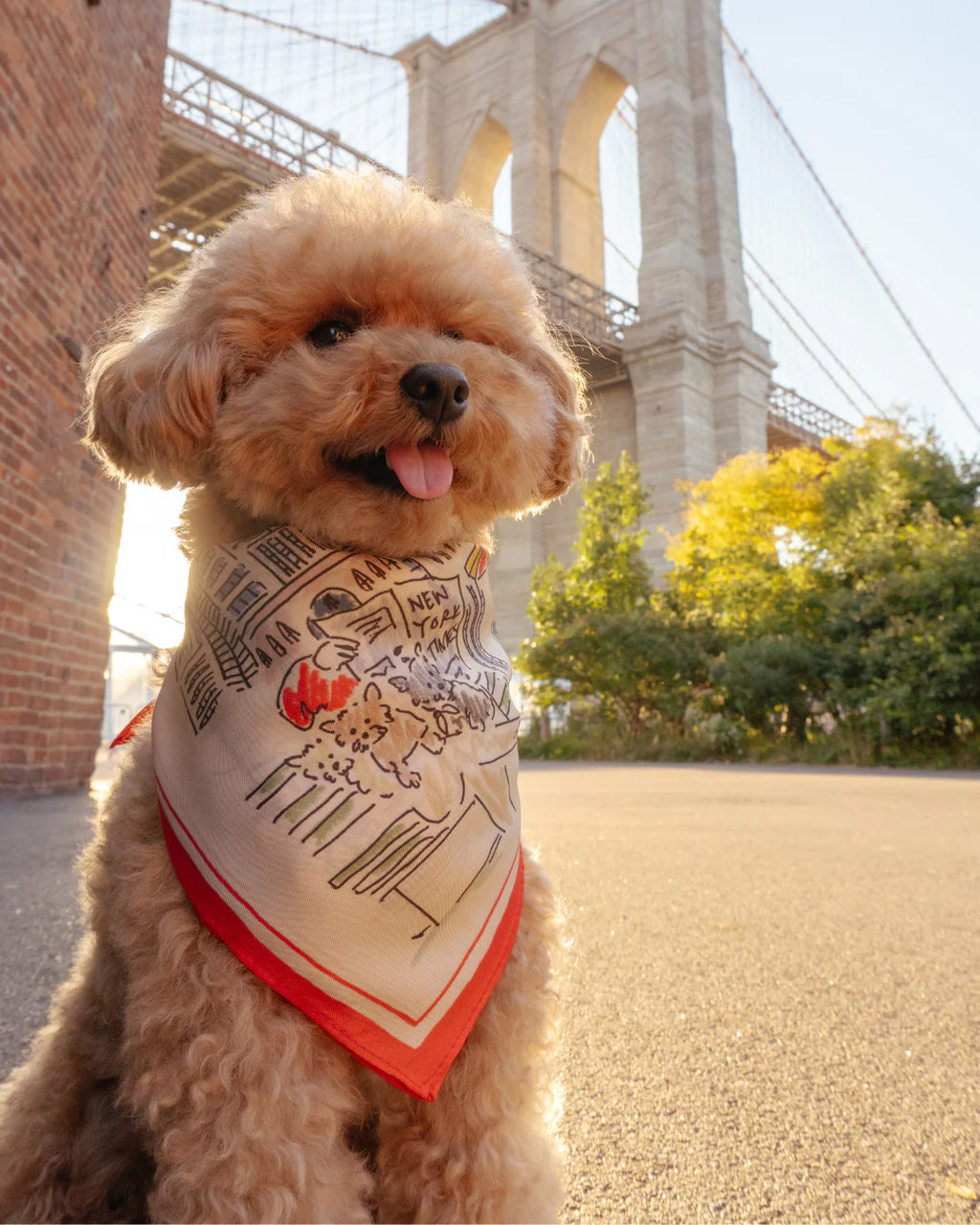 Fifth Ave Fetch Scarf