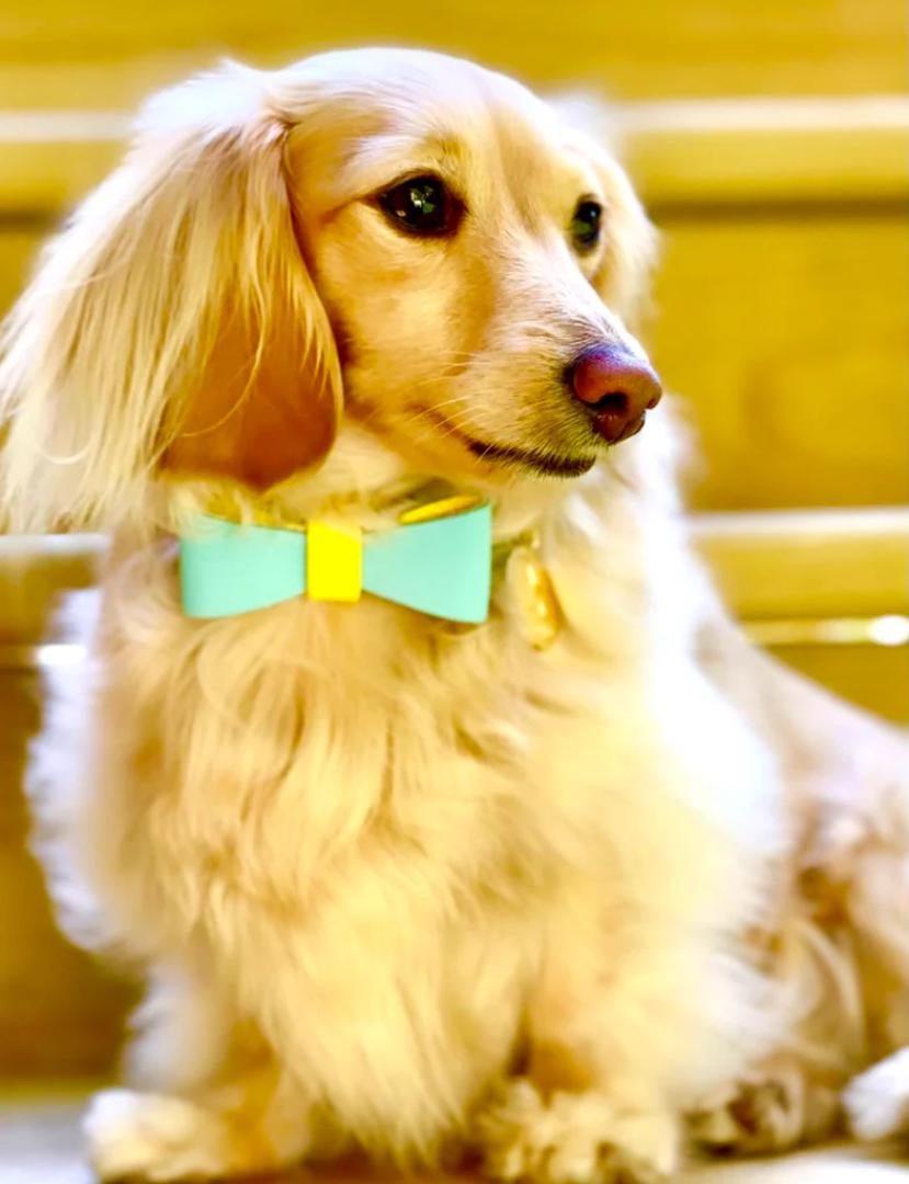  The Handcrafted Leather Bow Tie