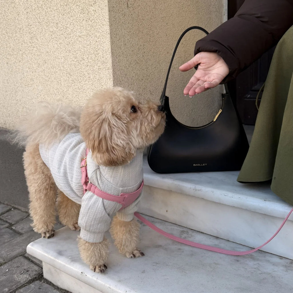 Italian Leather Harness – Pink & Gold