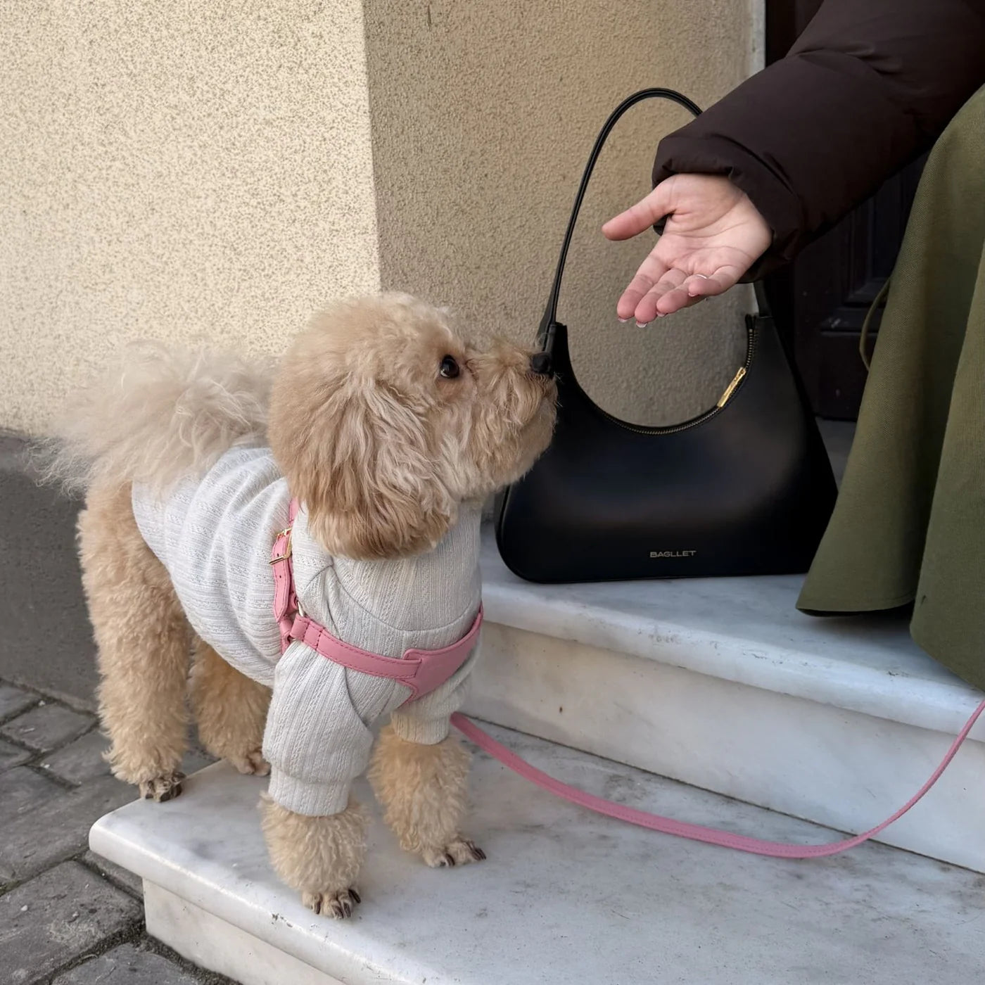 Italian Leather Harness – Pink & Gold