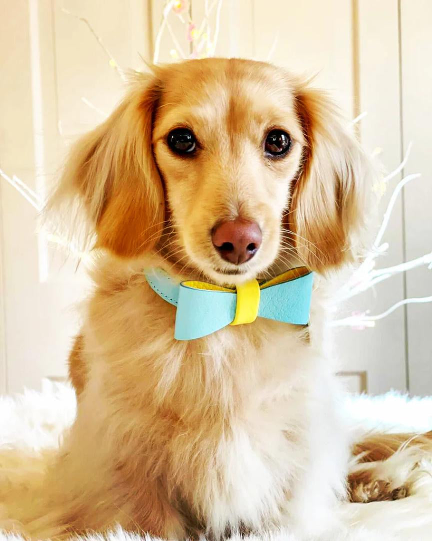  The Handcrafted Leather Bow Tie
