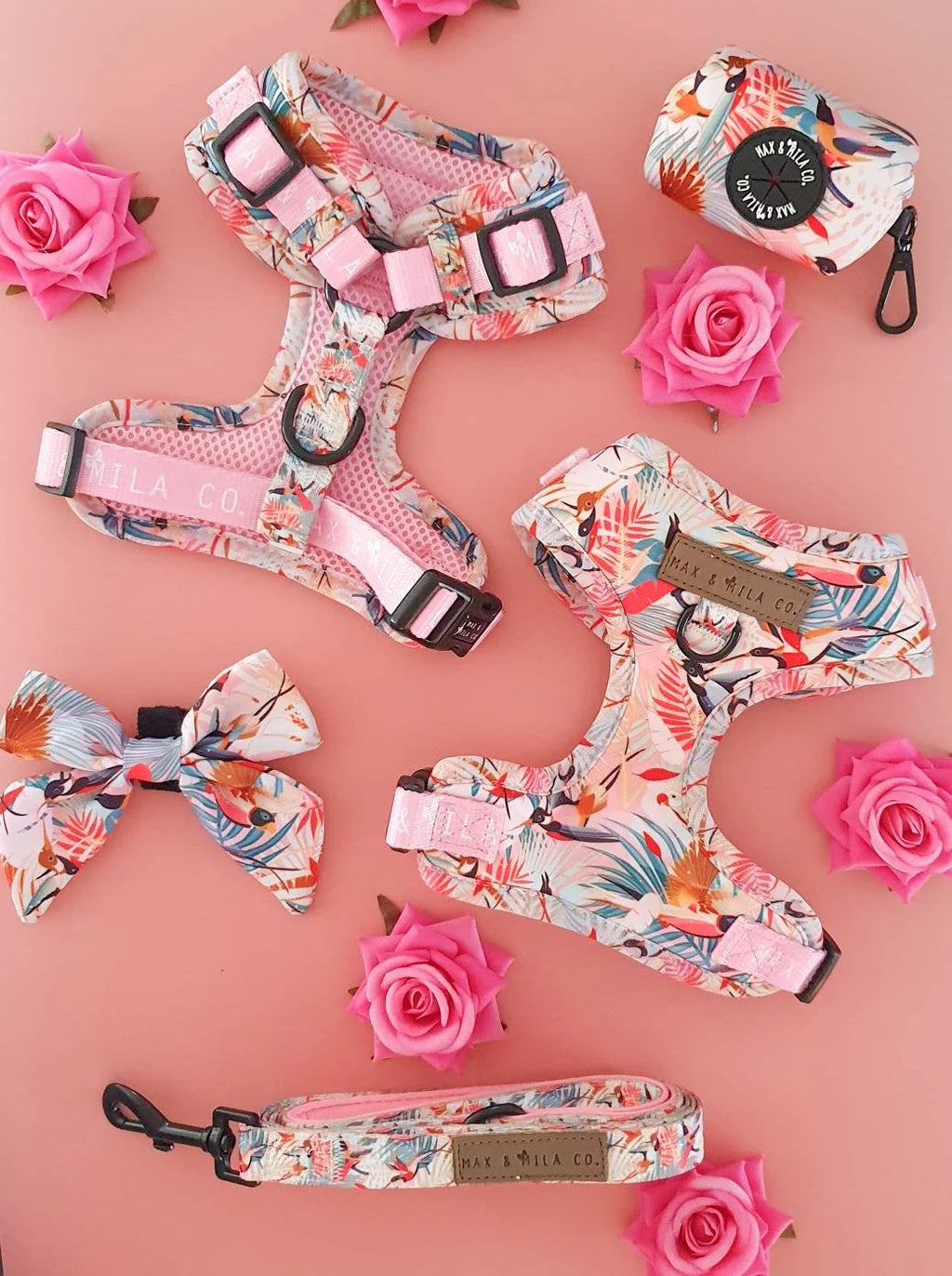 Paradise Designer Dog Harness Set