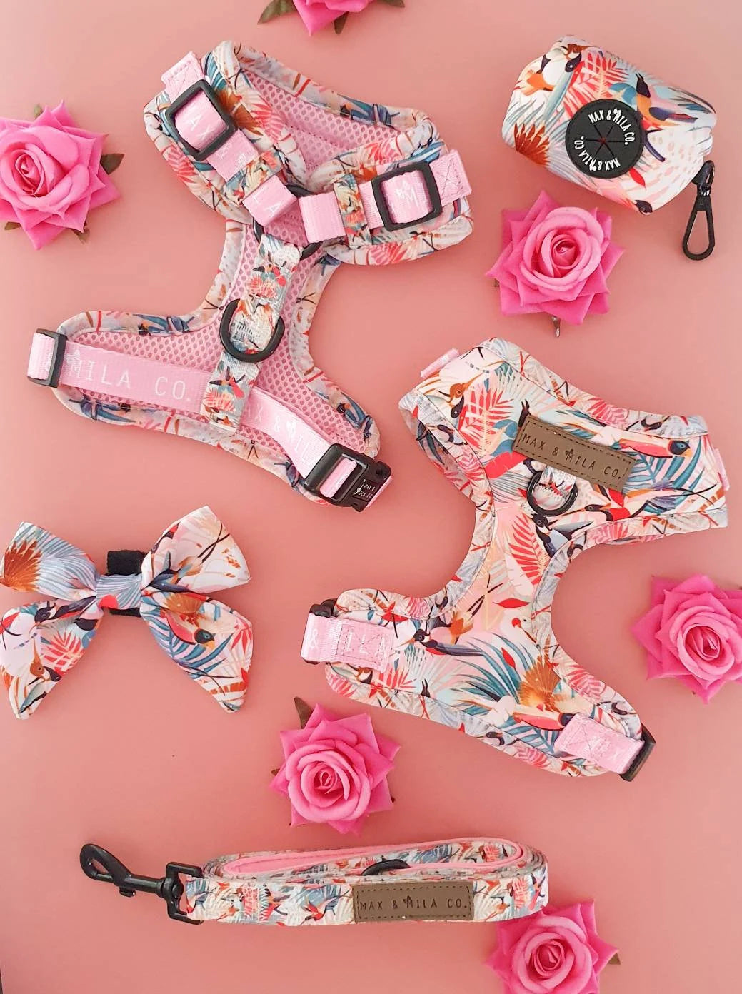 Paradise Designer Dog Harness Set