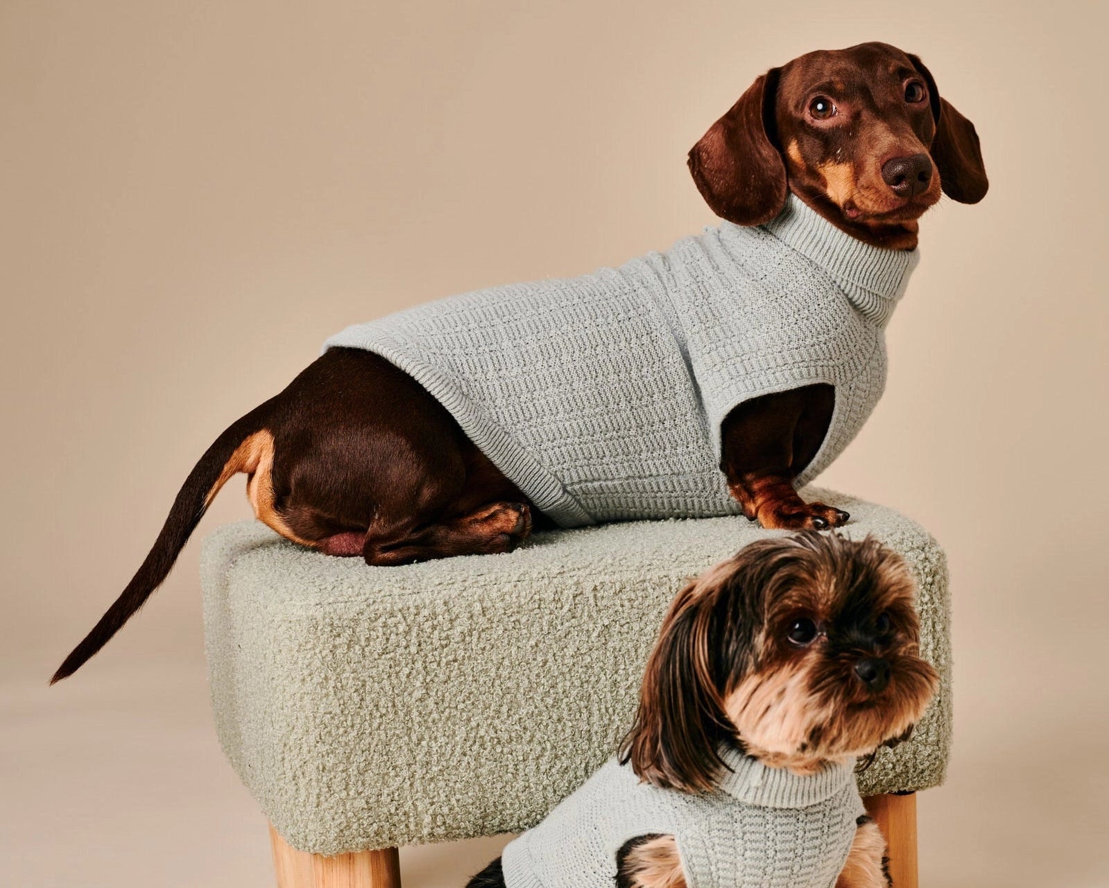 Coco Sweater – Green