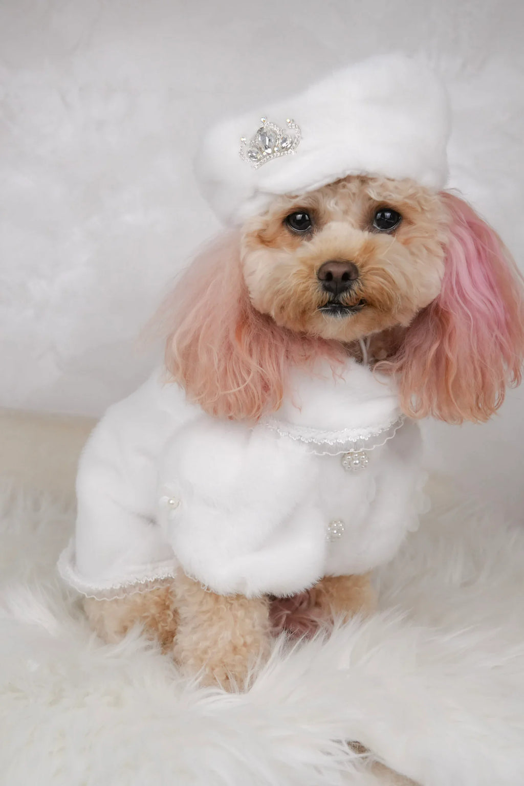 Snow Belle