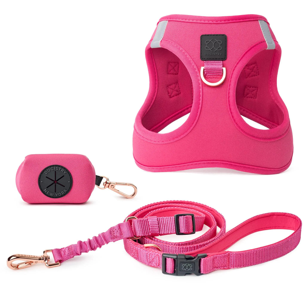 Soho Dog Walking Set - Park Ave Pink