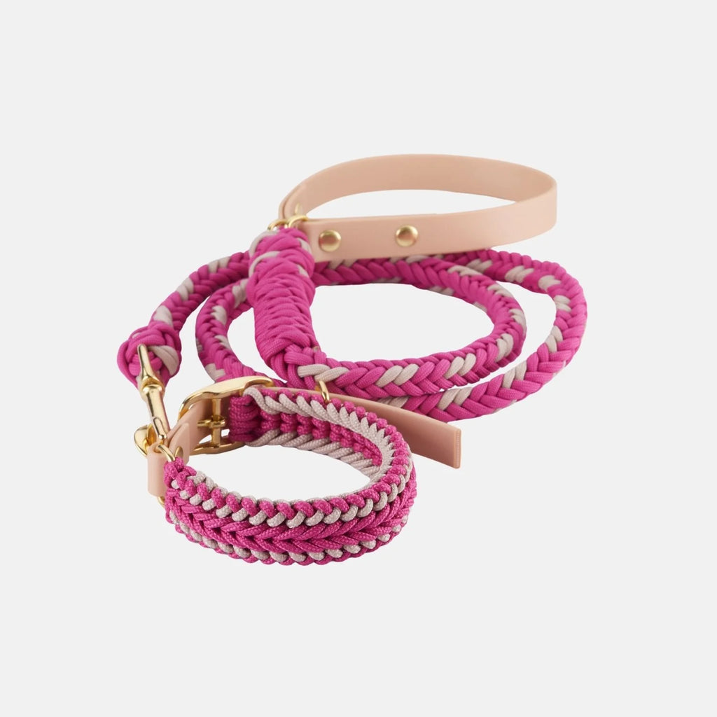 Rosie Pink Leash - Catalina