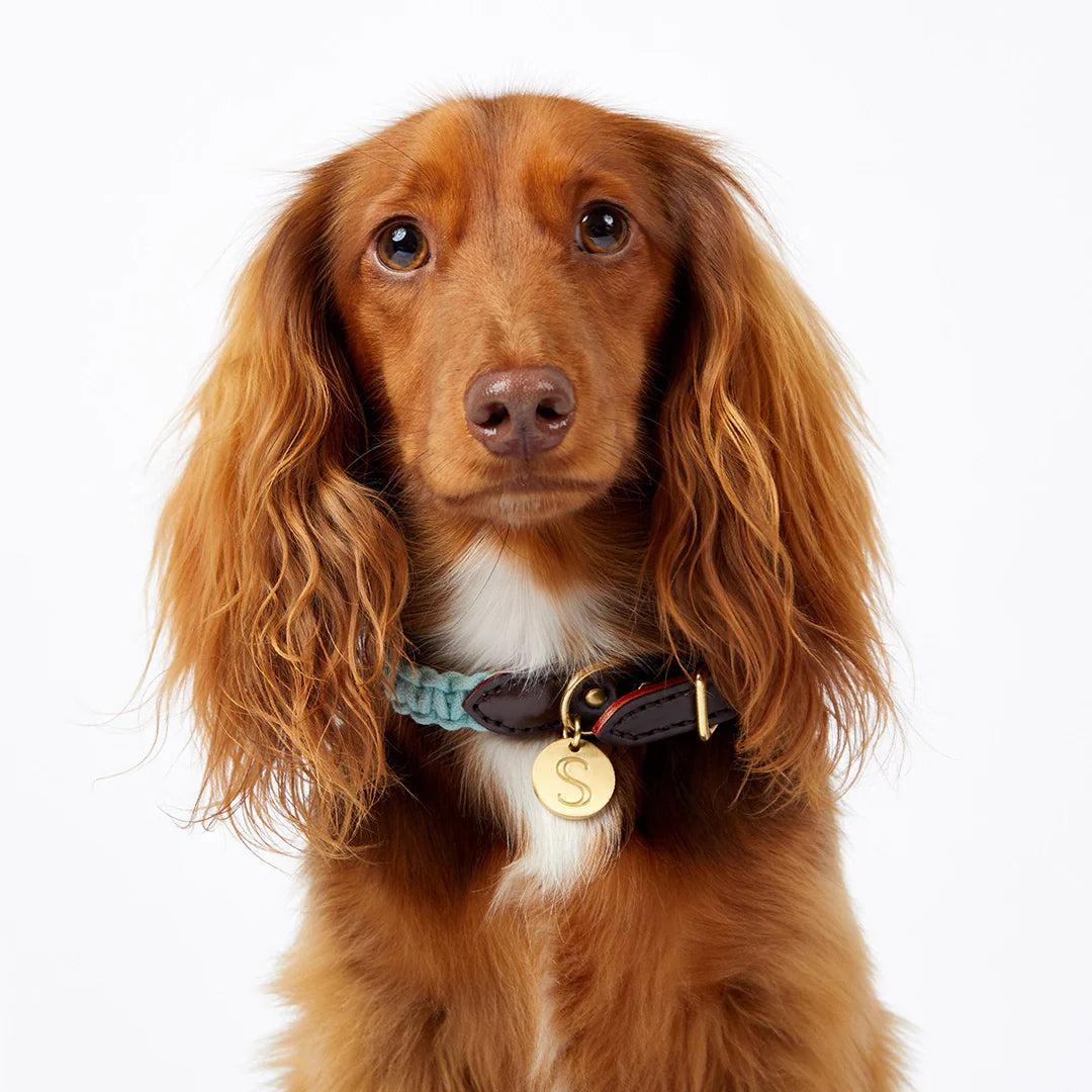Macramé/Leather Dog Collar - Blue