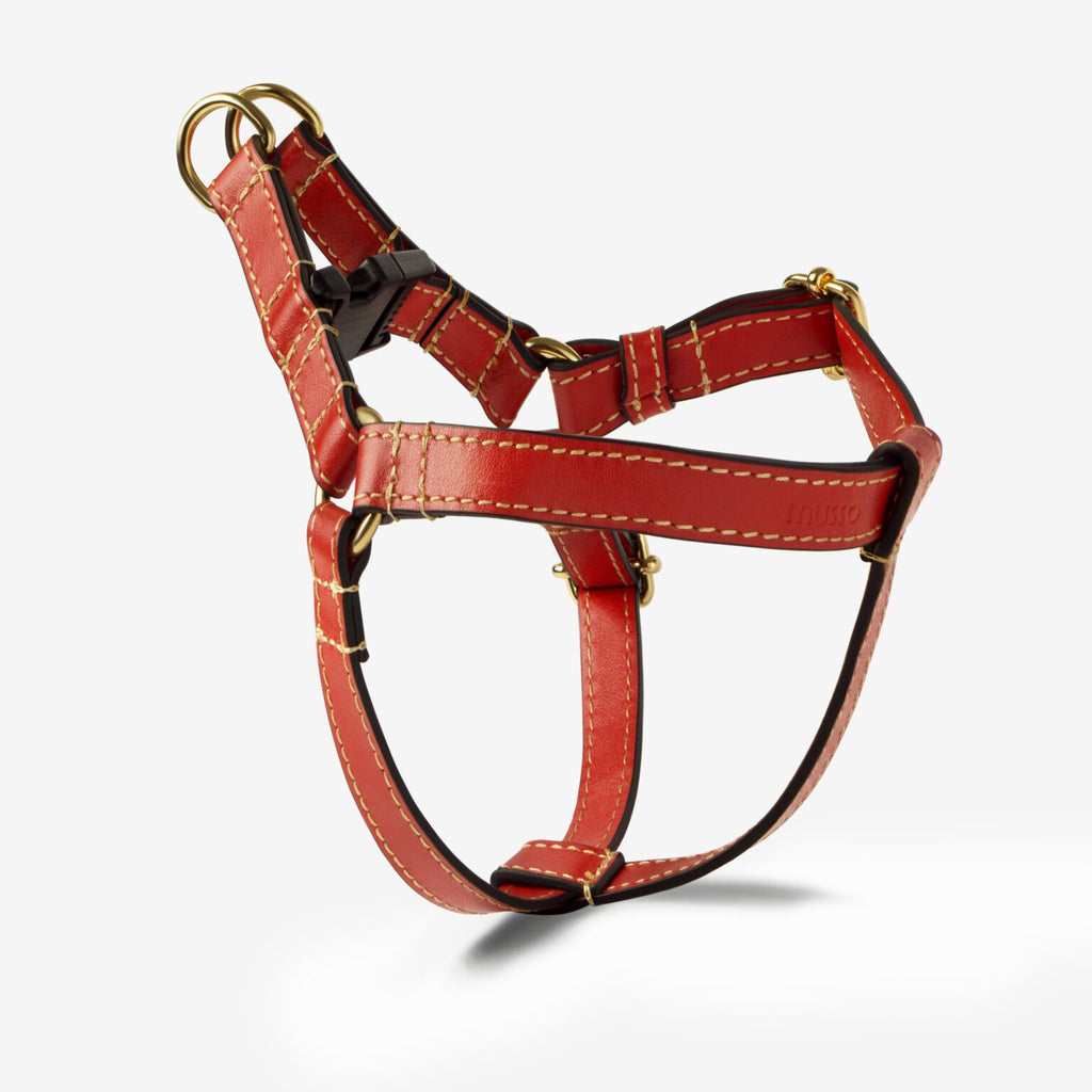 The Rosso Harness Set