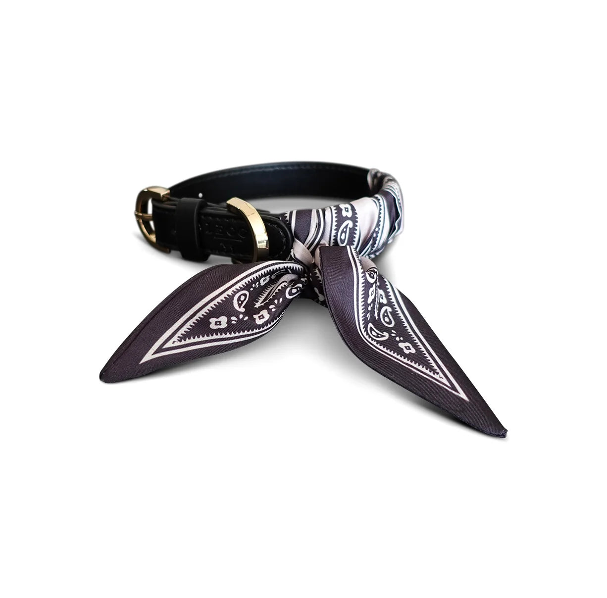 Dog Collar Twilly Paisley - Black