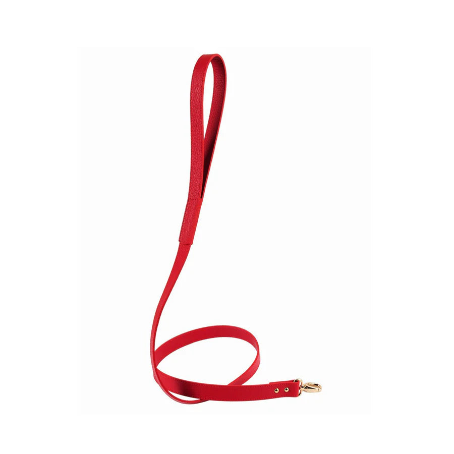 Balley Dog Leash by Moshiqa