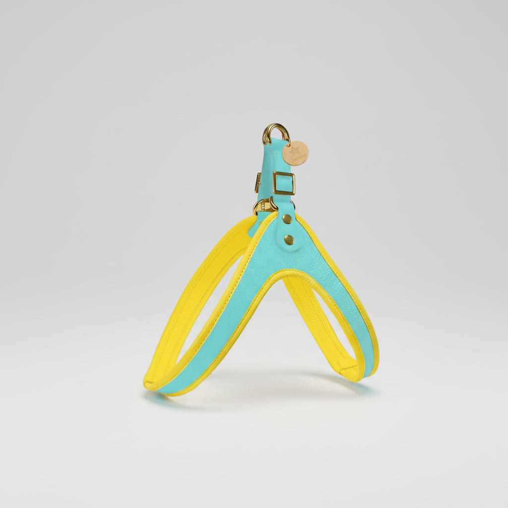 Handmade Genuine Leather Harness with Easy-Release Buckle