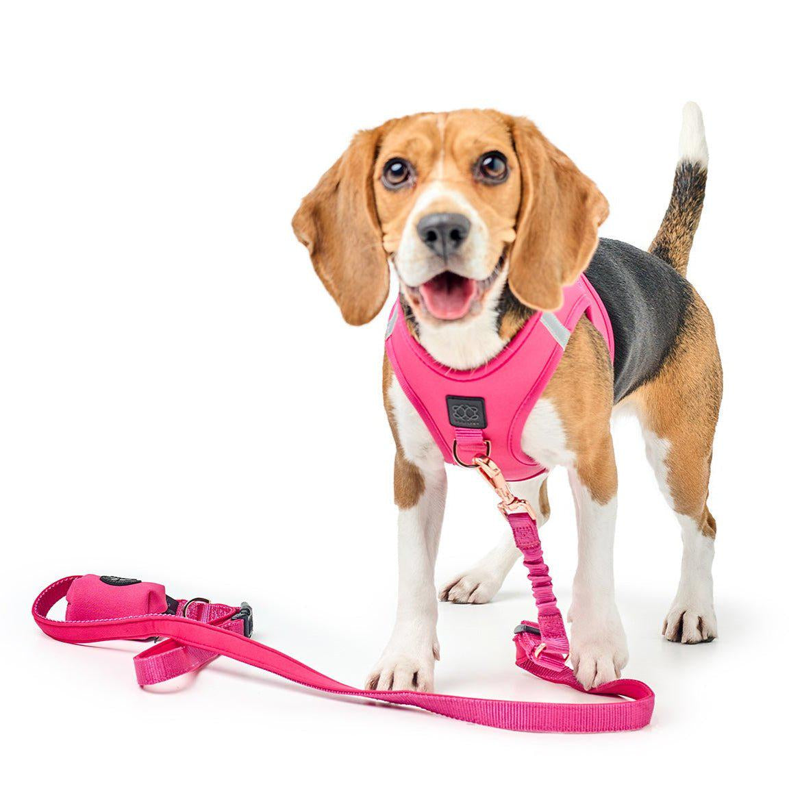 City Leash Set - Park Ave Pink