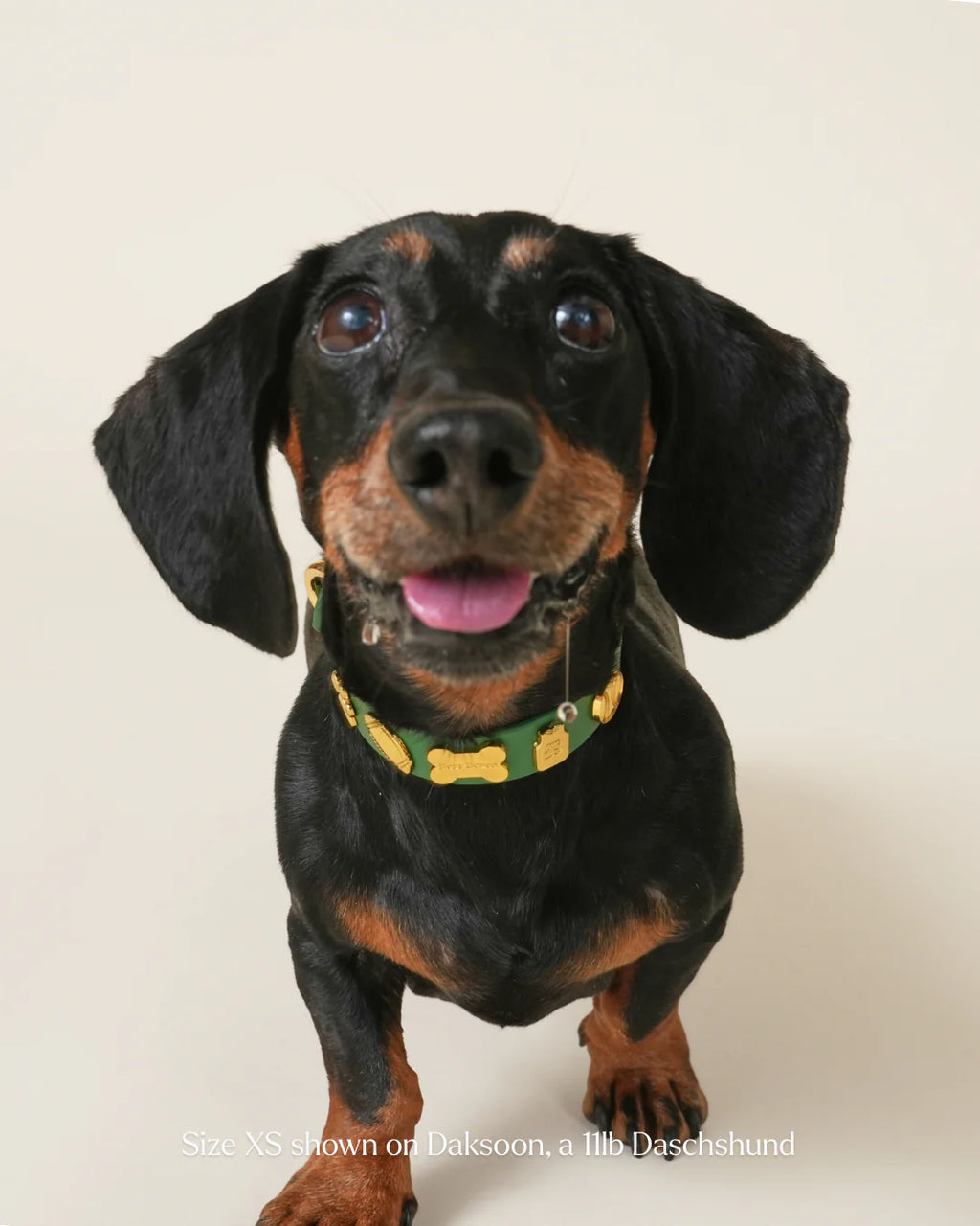 Athlete Collar