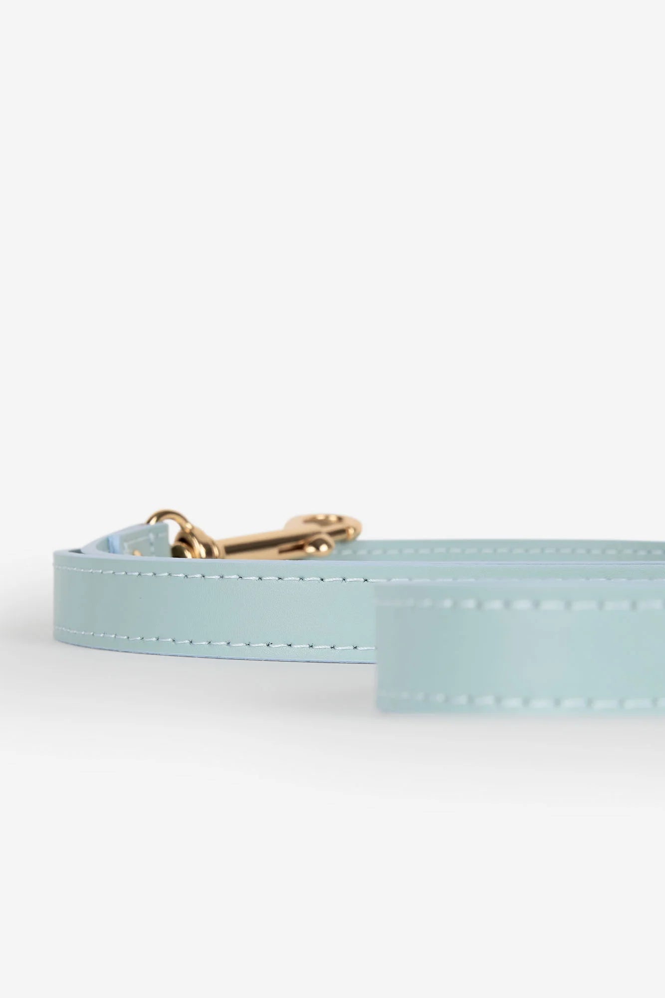 Sky Blue Leather Nara Dog Lead