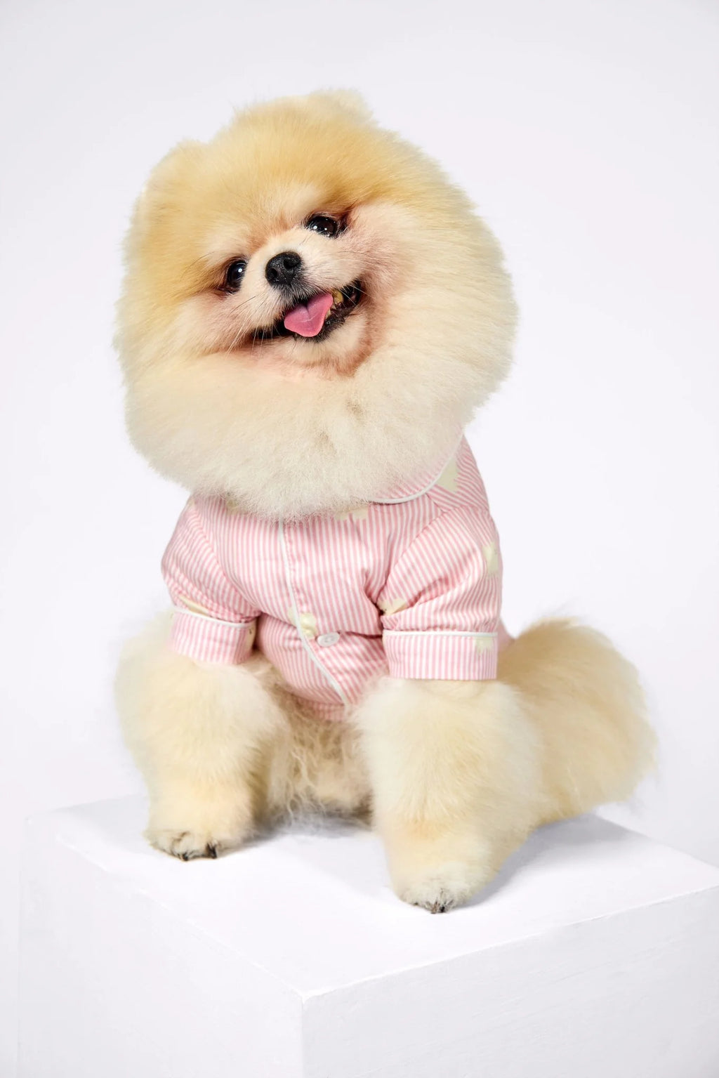 Pomeranian Dog Pajama Shirt – Pink & White