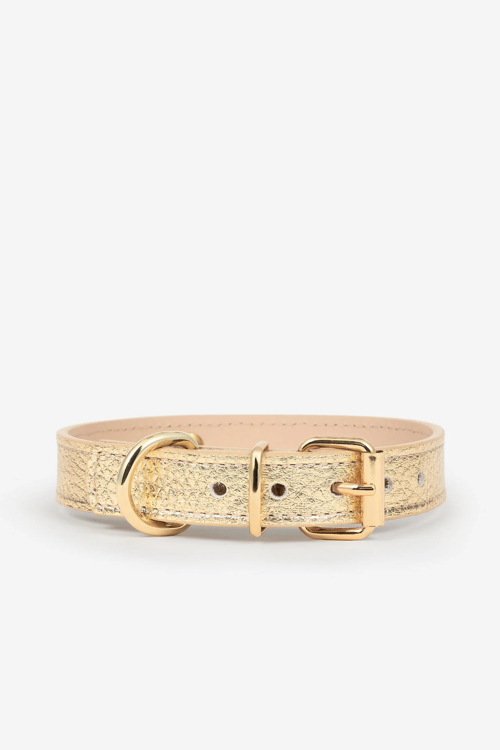 Golden Metal Dog Collar