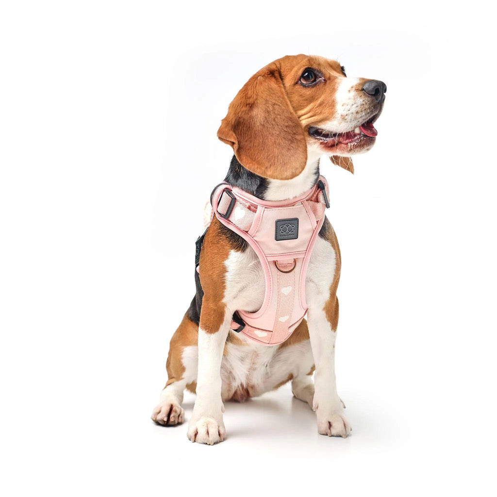 The Nomad Adjustable Luxe Harness - Sweetheart