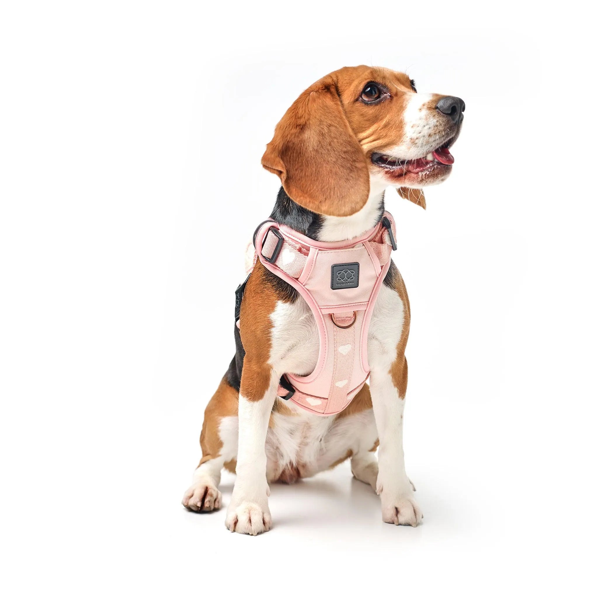 The Nomad Adjustable Luxe Harness - Sweetheart