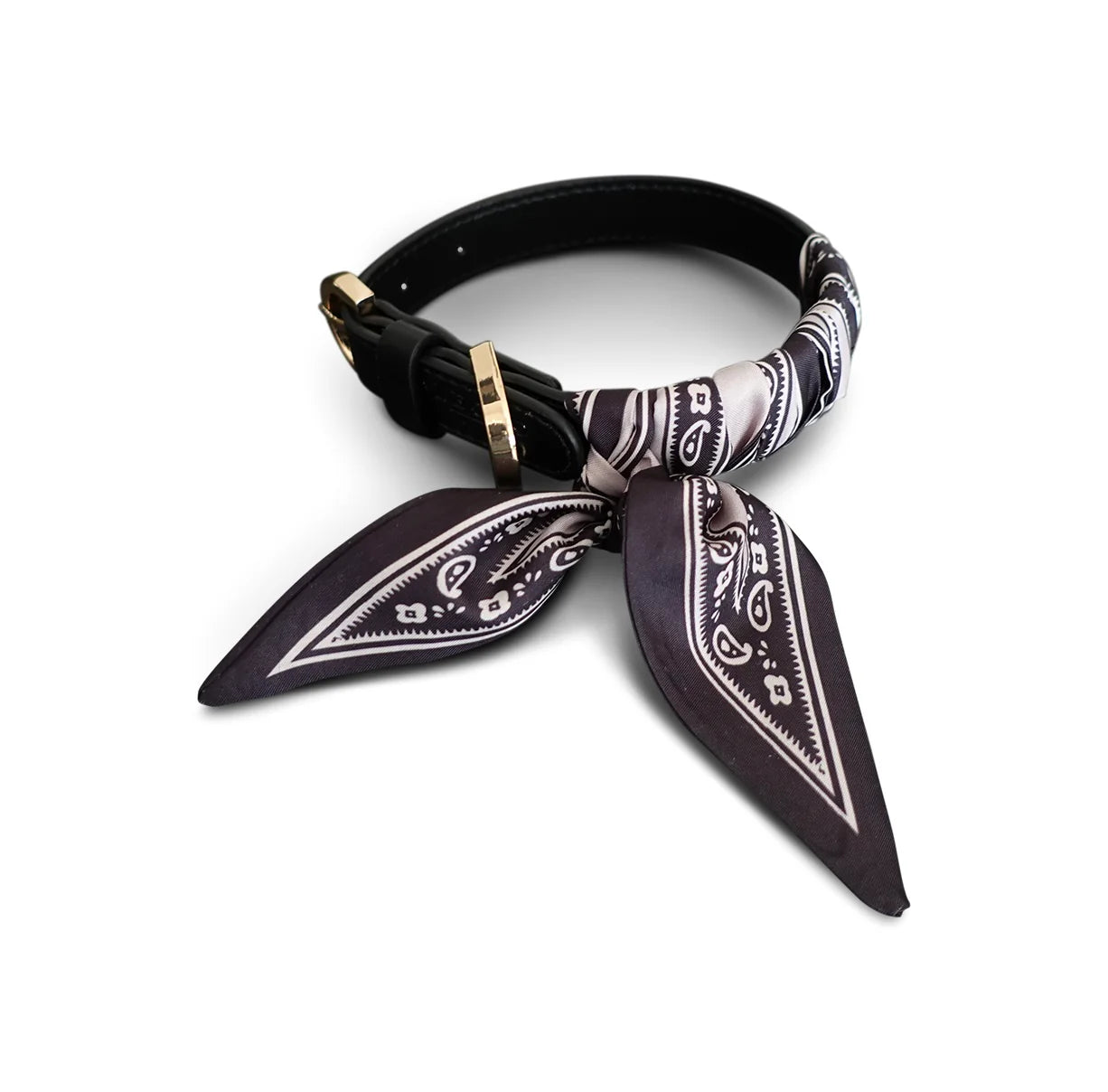 Dog Collar Twilly Paisley - Black