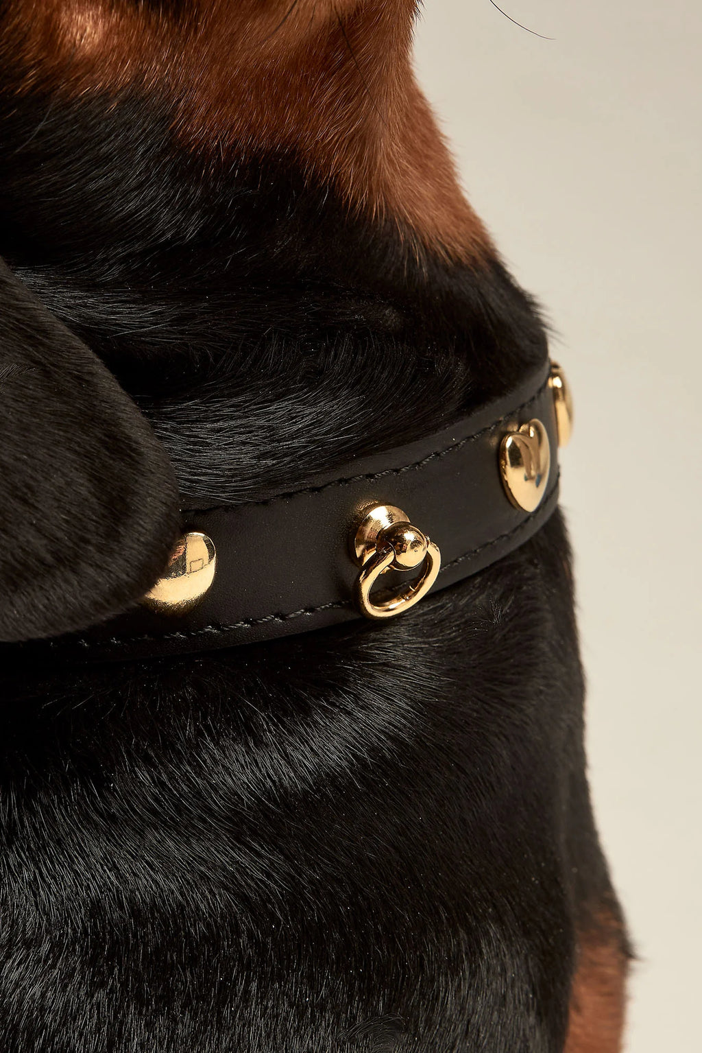 Black Leather Nara Dog Collar