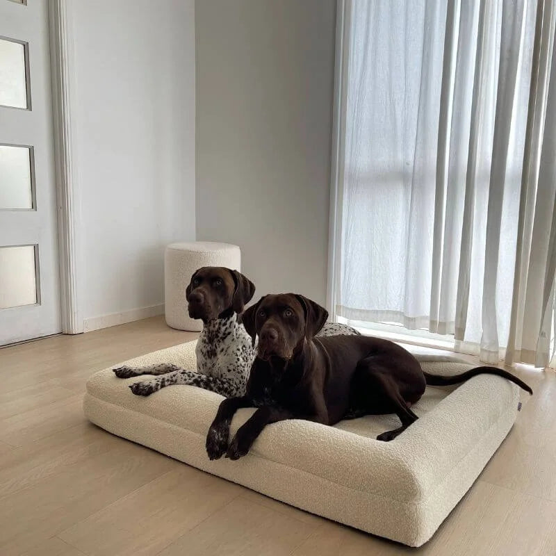 Memory Foam Dog Bed - Bouclé Ivory